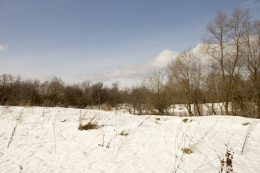 Similar image 6184023