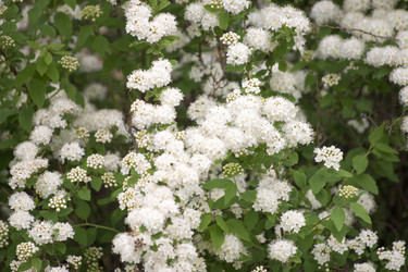 Similar image 6184025