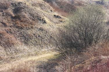 Similar image 6184074