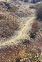 Similar image 6184077