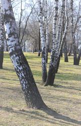 Similar image 6184083