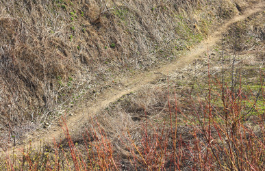 Similar image 6184085