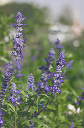 Similar image 6184091