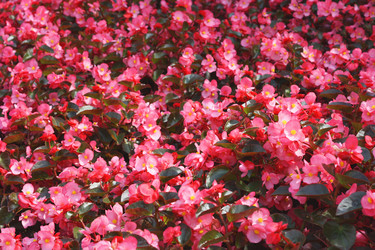 Similar image 6184093