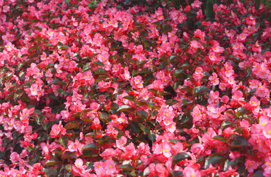 Similar image 6184094