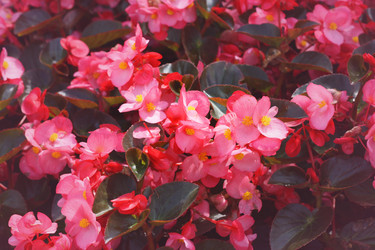 Similar image 6184095