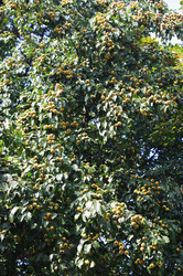 Similar image 6184096