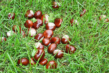 Similar image 6184097