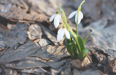 Similar image 6184100