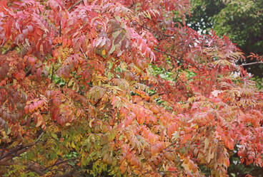 Similar image 6184107