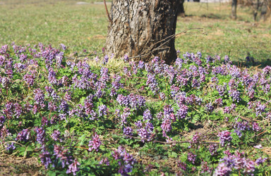 Similar image 6184114