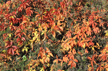 Similar image 6184130