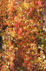 Similar image 6184133