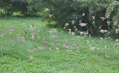 Similar image 6184137