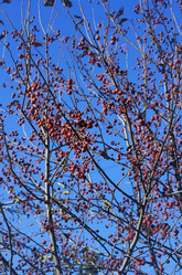 Similar image 6184142