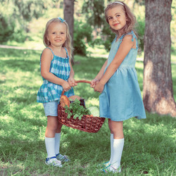 Similar image 6184323