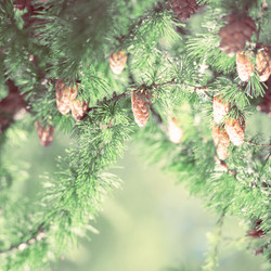 Similar image 6184379