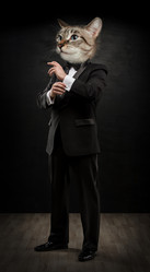 Similar image 6184419