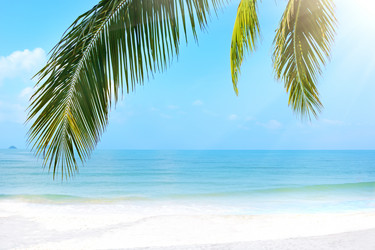 Similar image 6184423