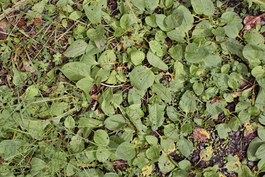 Similar image 6184478