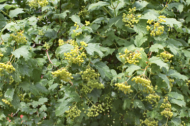 Similar image 6184479