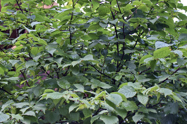 Similar image 6184480