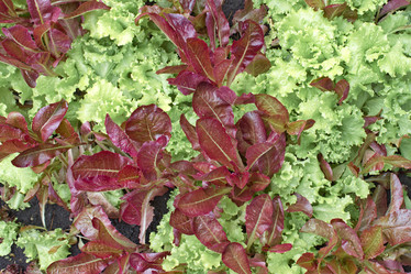 Similar image 6184481