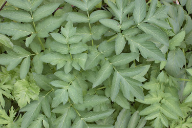 Similar image 6184482