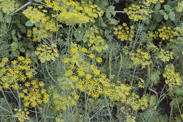 Similar image 6184494