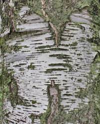 Similar image 6184499