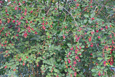 Similar image 6184509