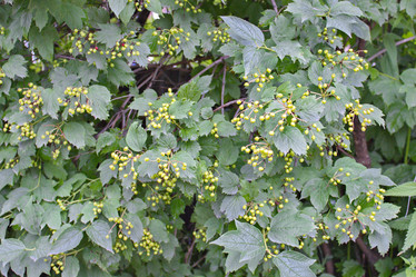 Similar image 6184512