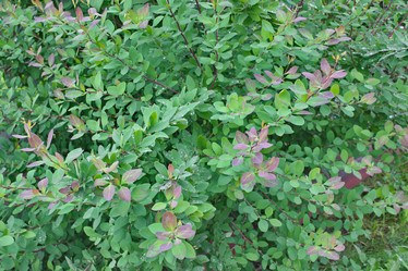 Similar image 6184513