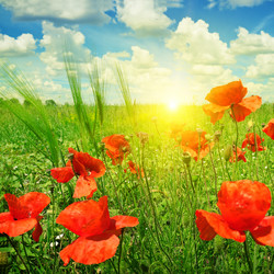 Similar image 6184559