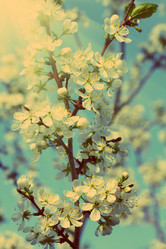 Similar image 6184570