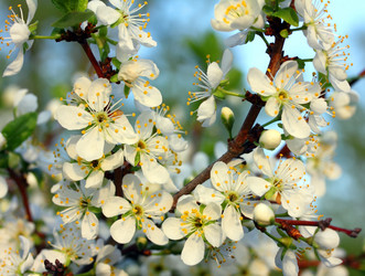 Similar image 6184602