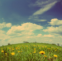 Similar image 6184605