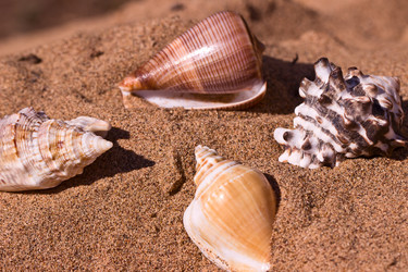 Similar image 6203275