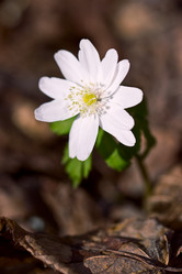 Similar image 6203278