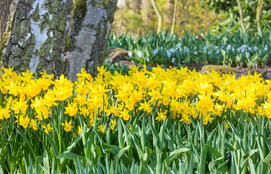 Similar image 6203281