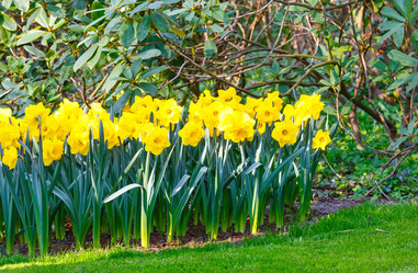 Similar image 6203293