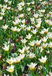 Similar image 6203297