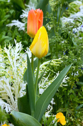 Similar image 6203299