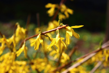 Similar image 6203331