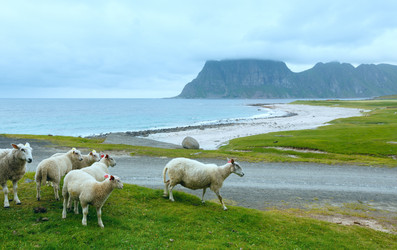 Similar image 6203341