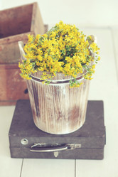 Similar image 6203467