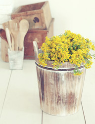 Similar image 6203468