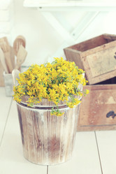 Similar image 6203469