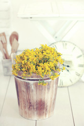 Similar image 6203470