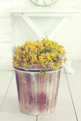 Similar image 6203471